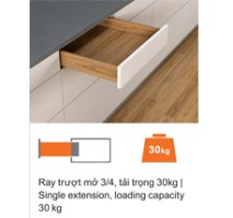 Ray âm tích hợp tipon mở 3/4 450mm 550F4500T